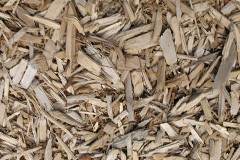 biomass boilers Stanwardine In The Wood